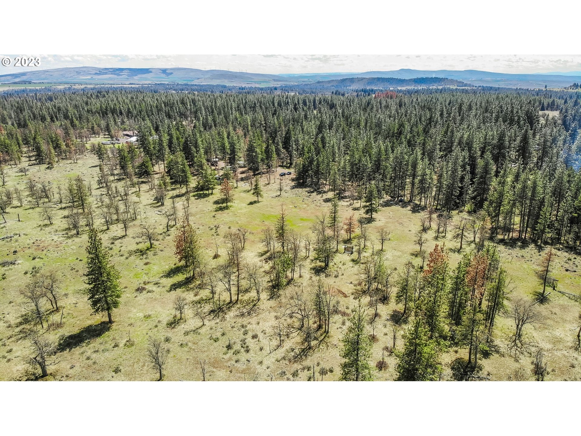 19 Rays Way Goldendale, WA 98620 - Photo 3 of 47 Gallery Image 3