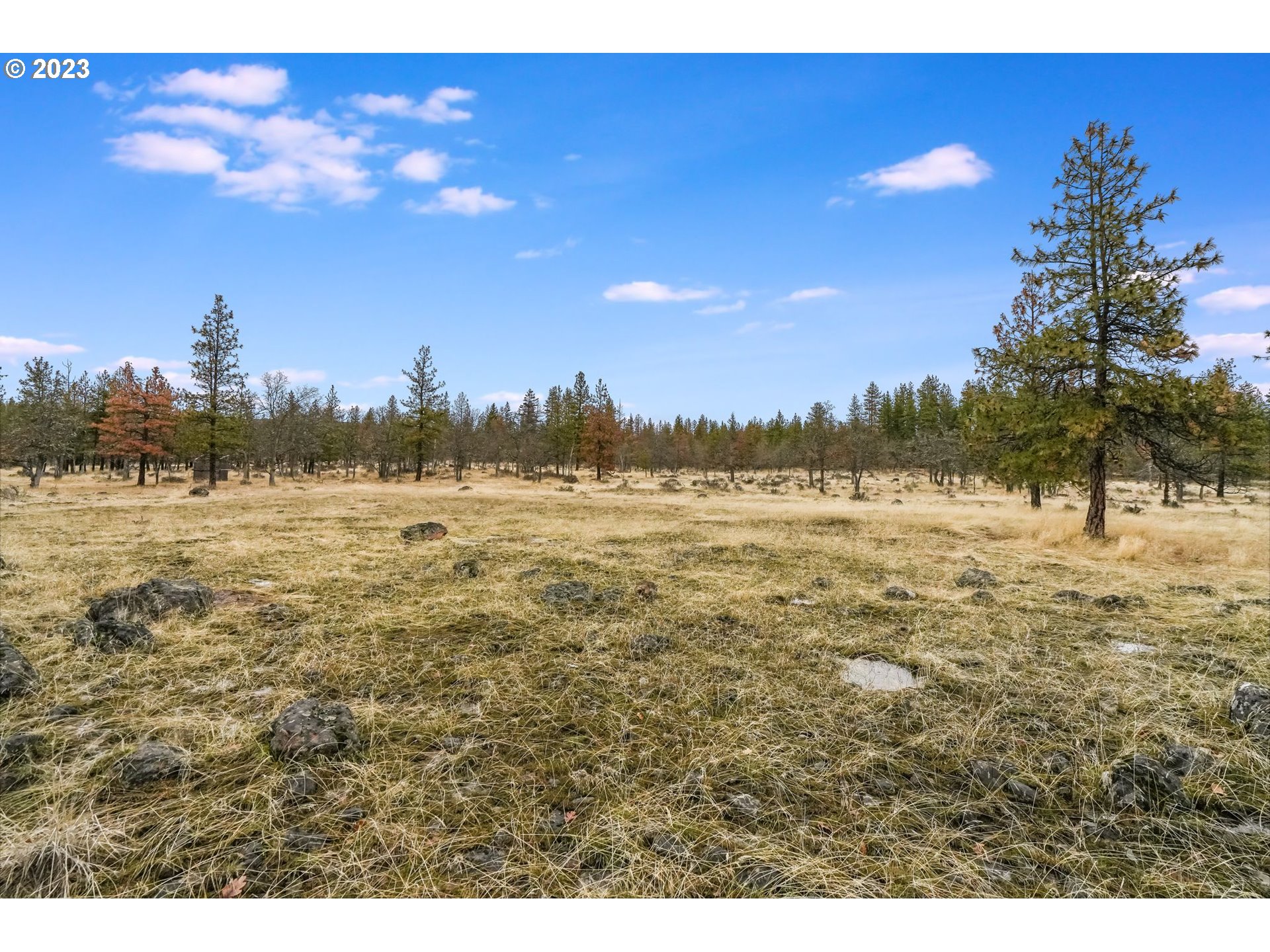 19 Rays Way Goldendale, WA 98620 - Photo 31 of 47 Gallery Image 31