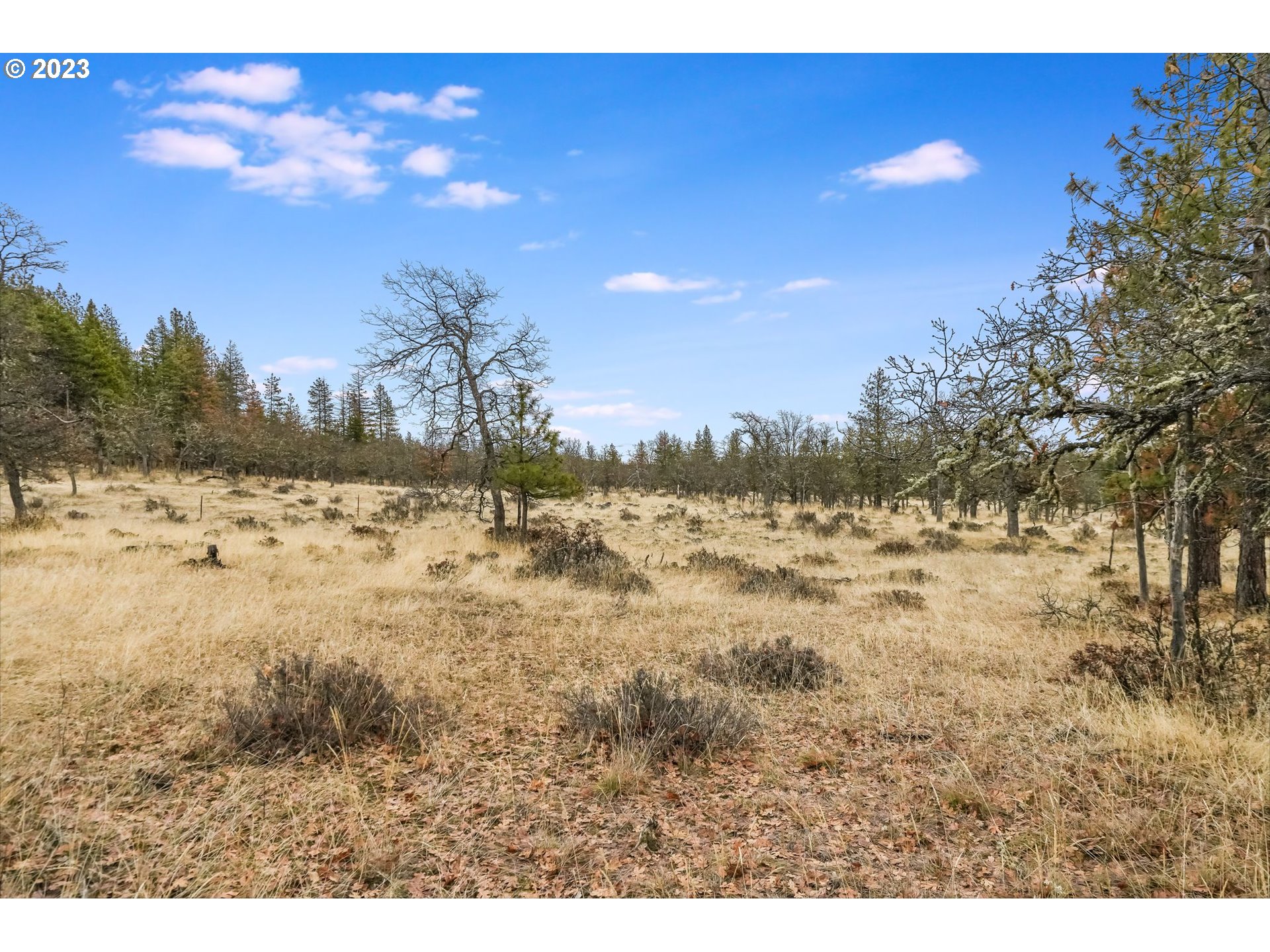 19 Rays Way Goldendale, WA 98620 - Photo 33 of 47 Gallery Image 33