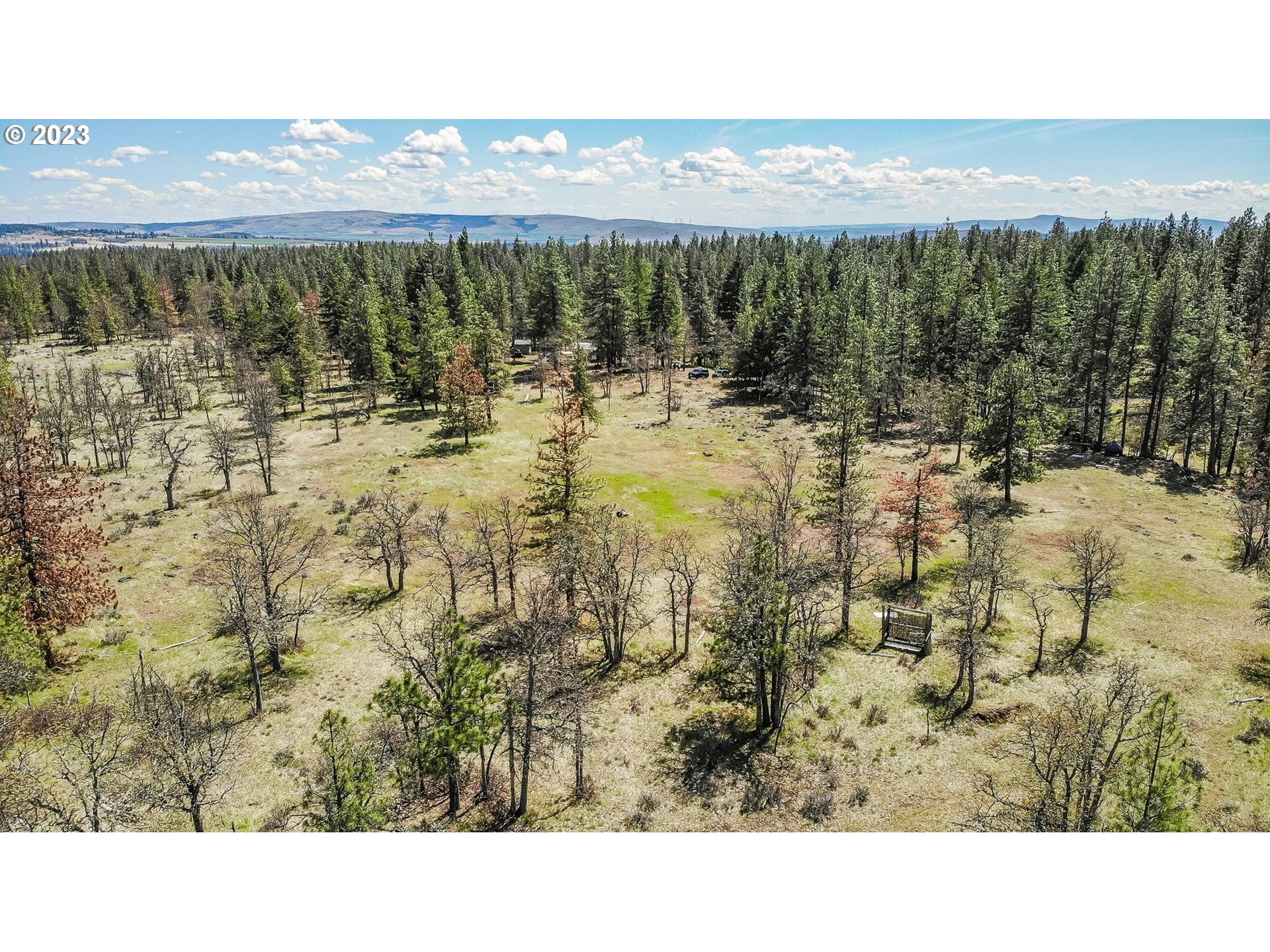 19 Rays Way Goldendale, WA 98620 - Photo 4 of 47 Gallery Image 4
