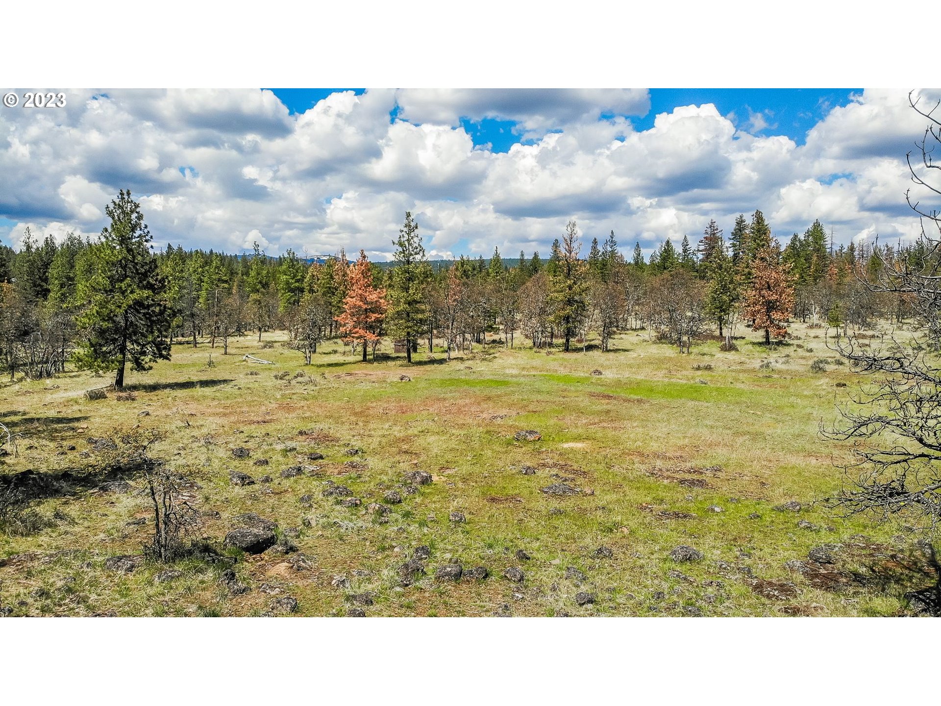 19 Rays Way Goldendale, WA 98620 - Photo 9 of 47 Gallery Image 9