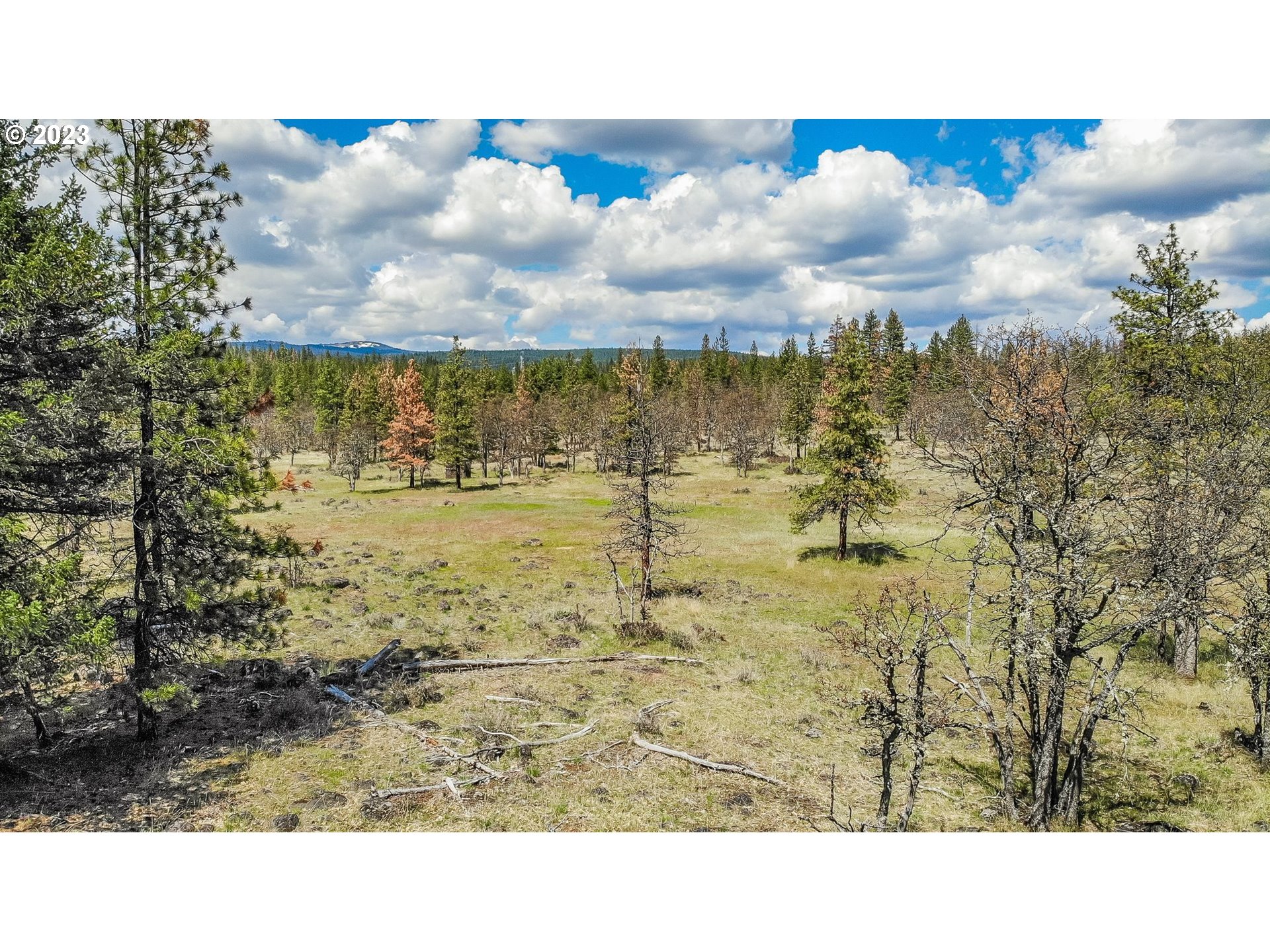 19 Rays Way Goldendale, WA 98620 - Photo 10 of 47 Gallery Image 10