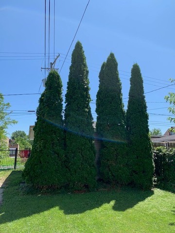 5929 West Rice Street Chicago, IL 60651 - Photo 29 of 29 a yard with lots of green space