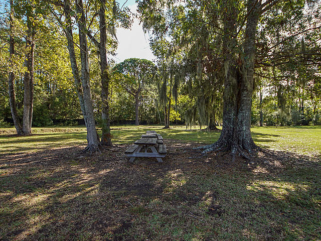 3170 Alvan Road Johns Island, SC 29455 - Photo 8 of 30 Beautiful oaks with Spanish moss