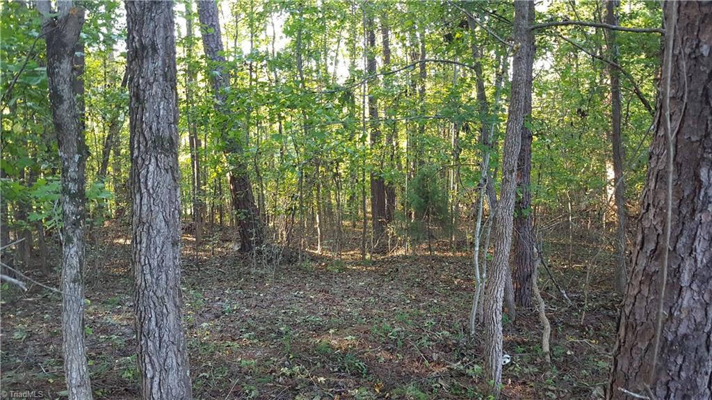 502 Scout Road Lexington, NC 27292 - Photo 3 of 6 Gallery Image 3
