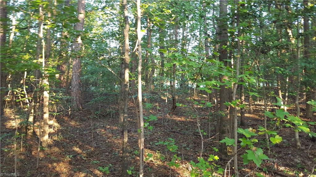 502 Scout Road Lexington, NC 27292 - Photo 4 of 6 Gallery Image 4