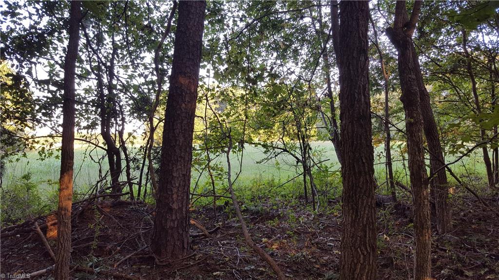 502 Scout Road Lexington, NC 27292 - Photo 5 of 6 Gallery Image 5