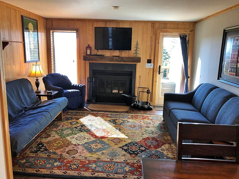 47 Powderidge Road, Unit 84 Snowshoe, WV 26209 - Photo 3 of 17 Gallery Image 3