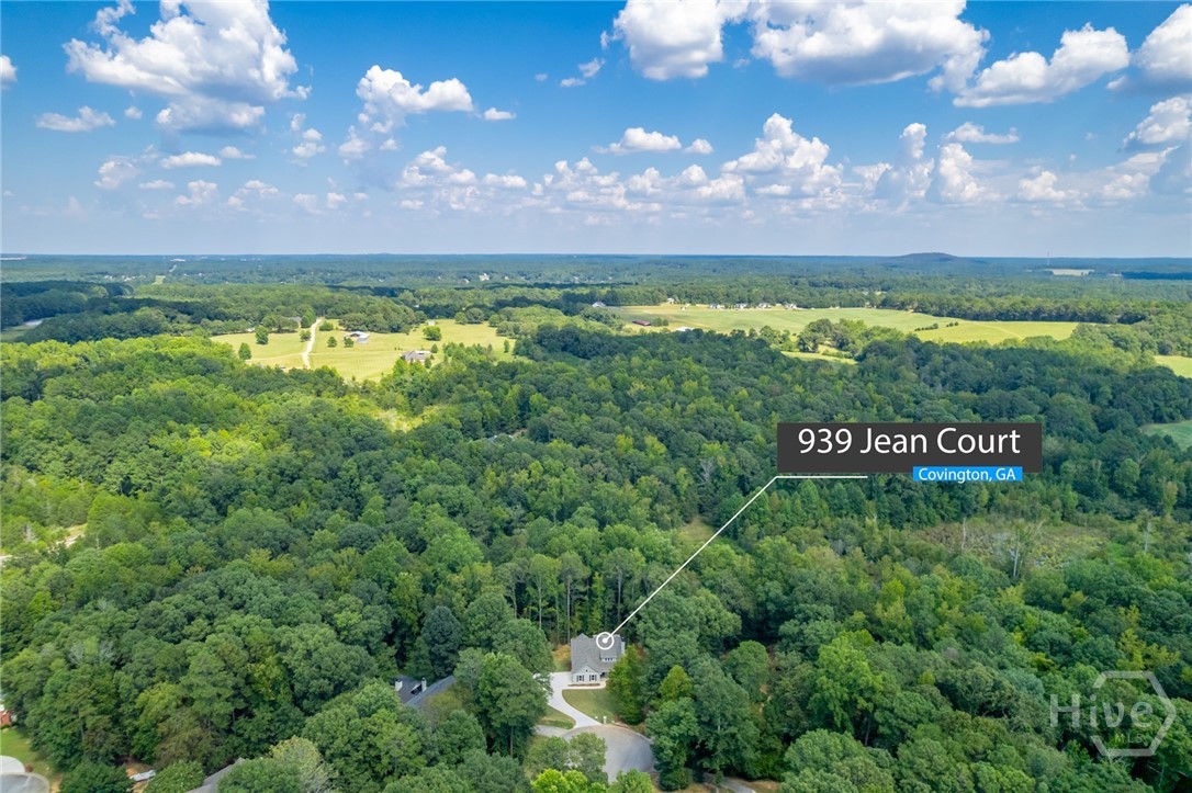939 Jean Court Covington, GA 30014 - Photo 6 of 56