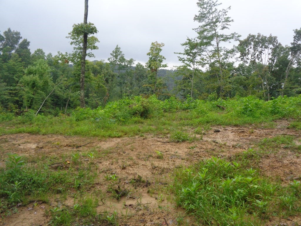 0 Atwell Mtn Road Raysal, WV 24879 - Photo 9 of 9 Gallery Image 9