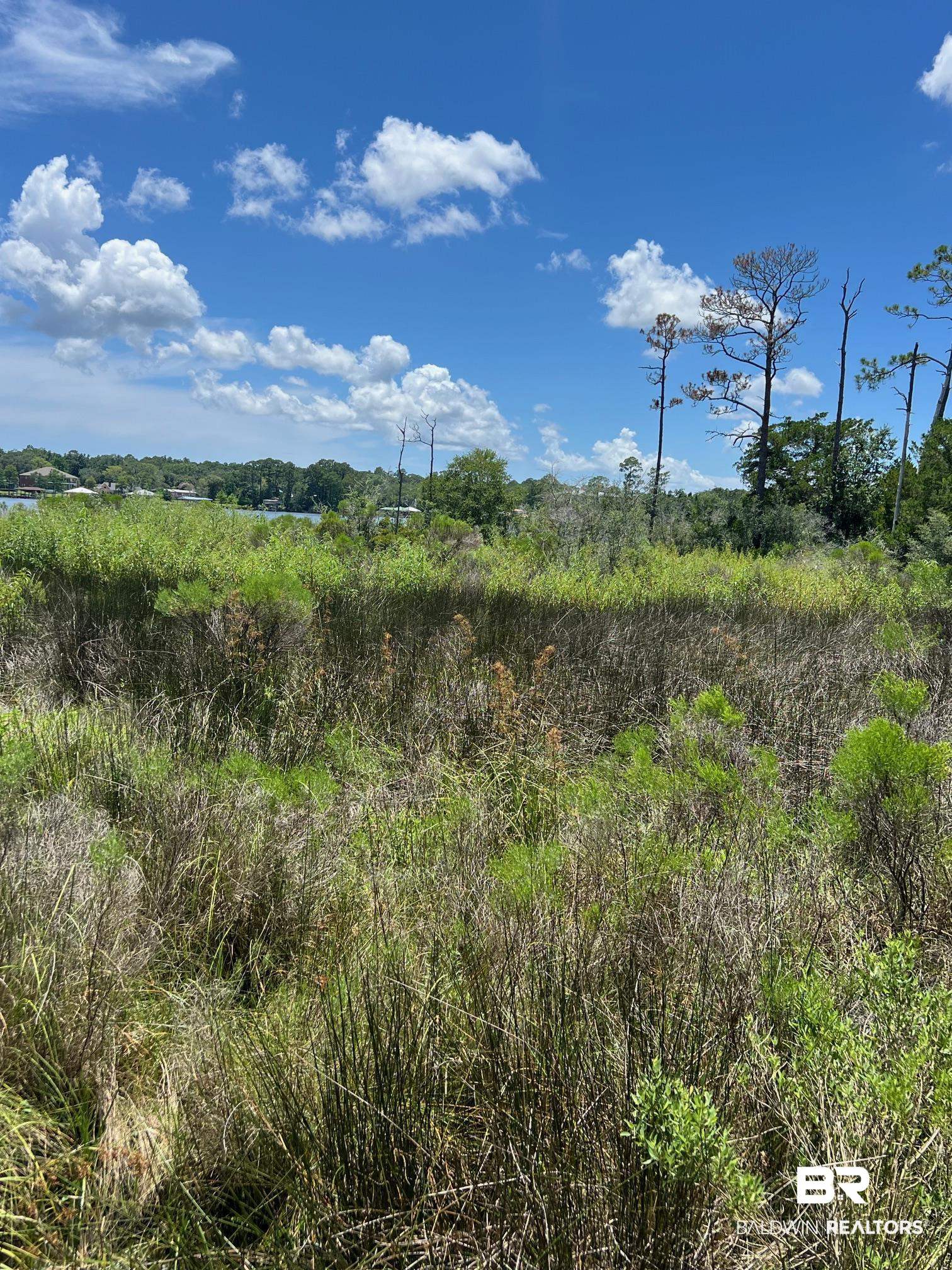 9037 Bay Point Drive Elberta, AL 36530 - Photo 2 of 9 View of local wilderness