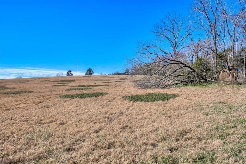 Lot 7 Wire Road Aiken, SC 29801 - Photo 11 of 13