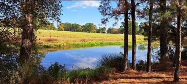 a view of a lake with a yard