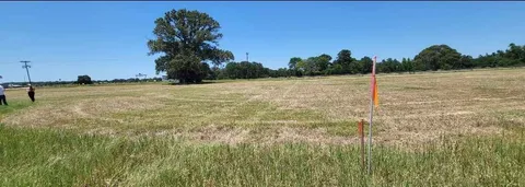 a view of a field with an ocean
