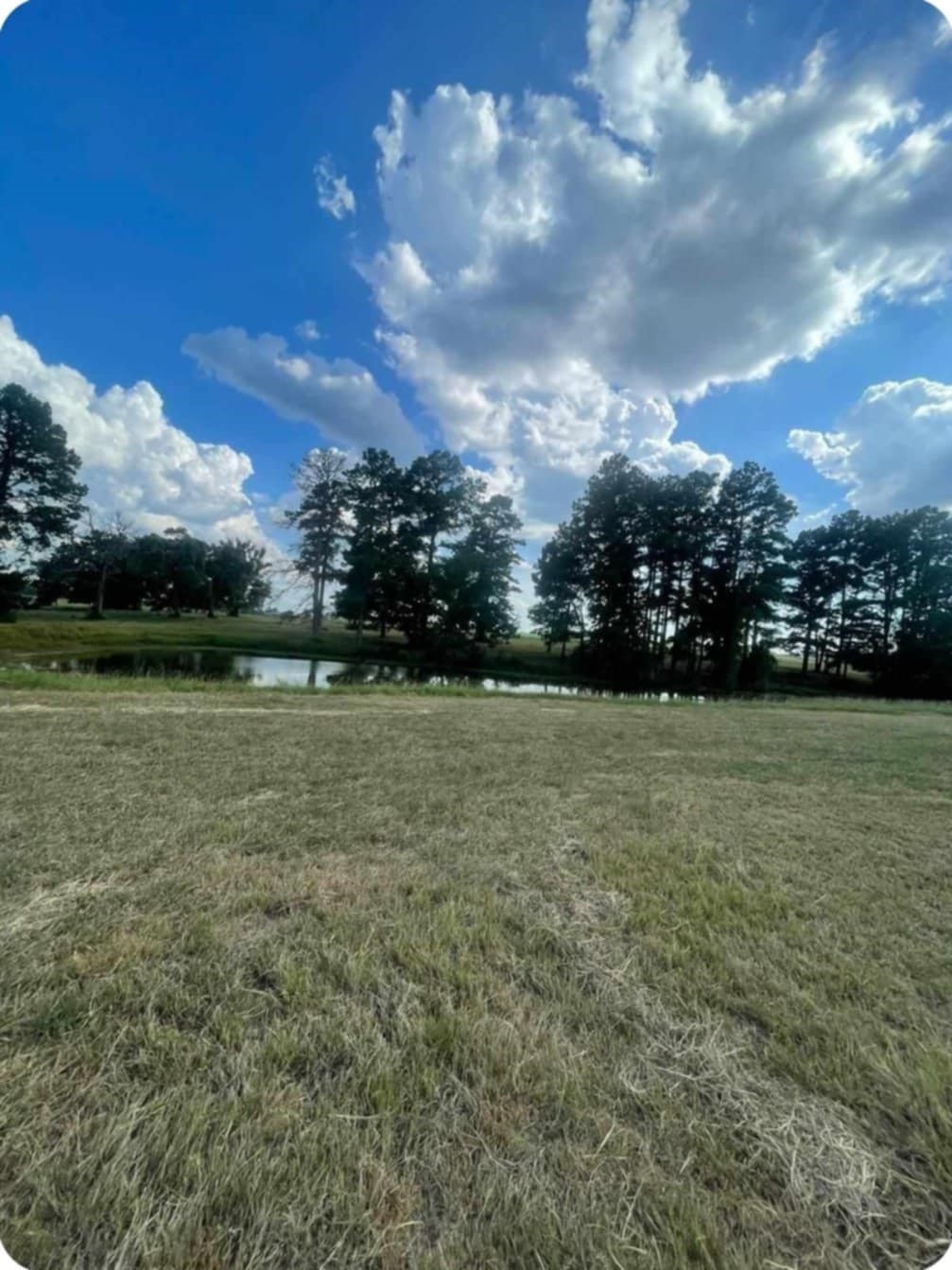 0 Pr 1313 Centerville Tx 75833 Centerville, TX 75833 - Photo 6 of 13 a view of outdoor space with green field
