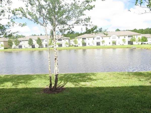 a view of a lake with a large trees