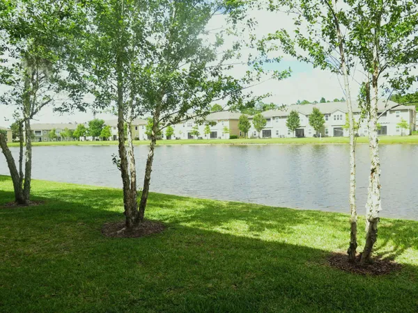 a view of a lake with a big yard and large trees
