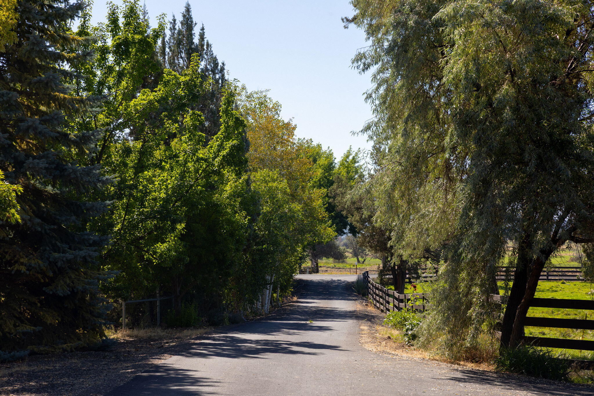 11311 Fleming Road Powell Butte, OR 97753 - Photo 12 of 58 driveway from Fleming Rd,