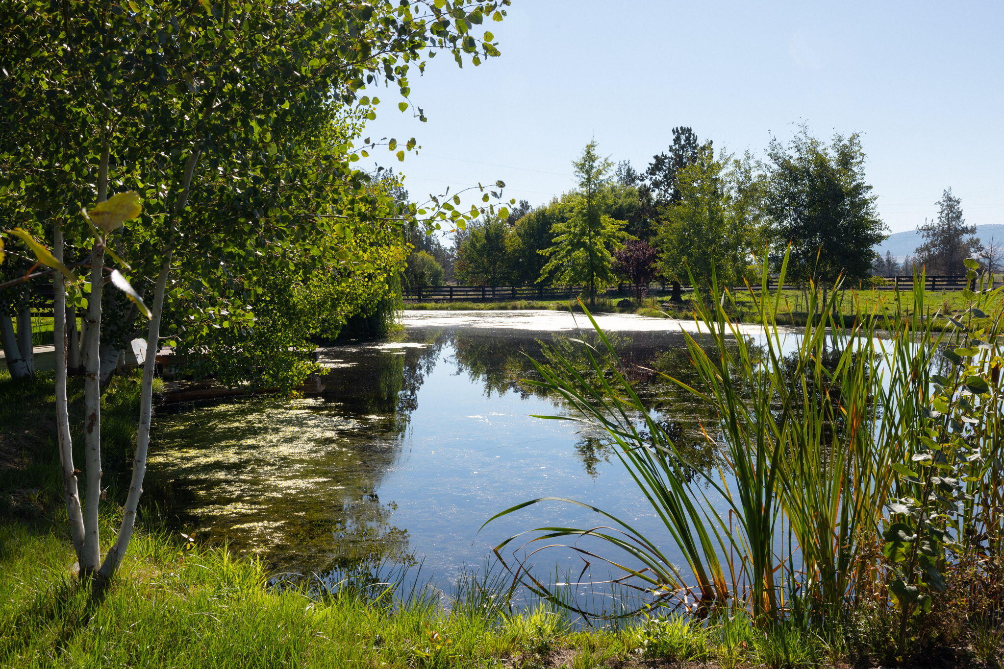 11311 Fleming Road Powell Butte, OR 97753 - Photo 49 of 58 main pond