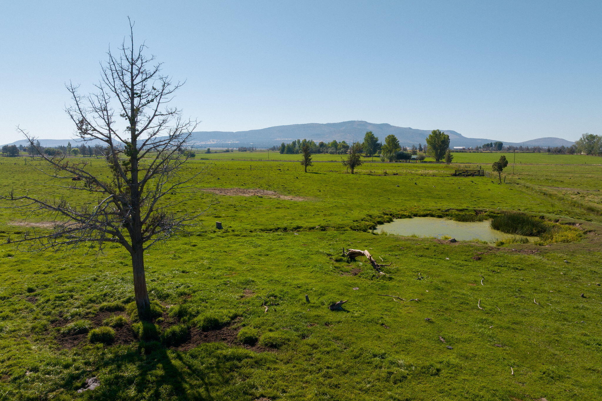 11311 Fleming Road Powell Butte, OR 97753 - Photo 56 of 58 drone pasture