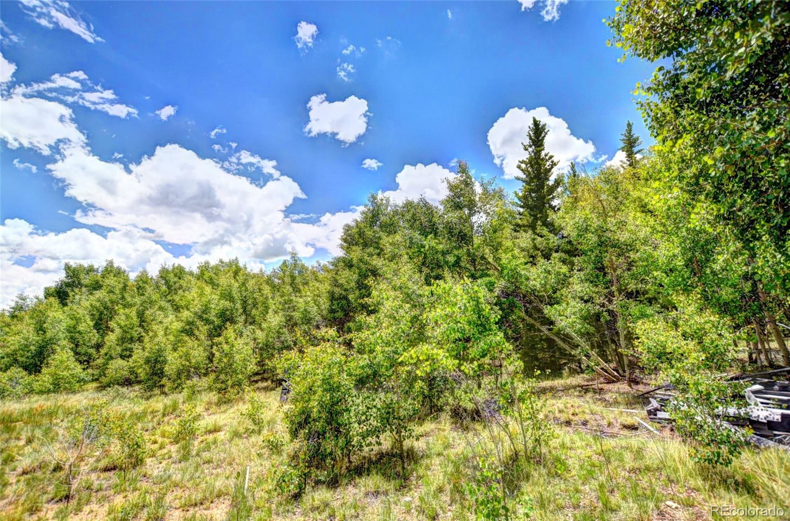 304 Swiggler Road Jefferson, CO 80456 - Photo 19 of 22 Gallery Image 19