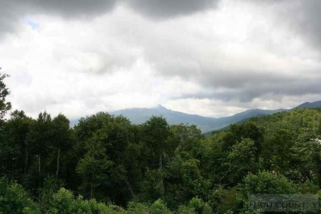 121 Red Tail Summit, Unit CC4 Boone, NC 28607 - Photo 13 of 39 Gallery Image 13