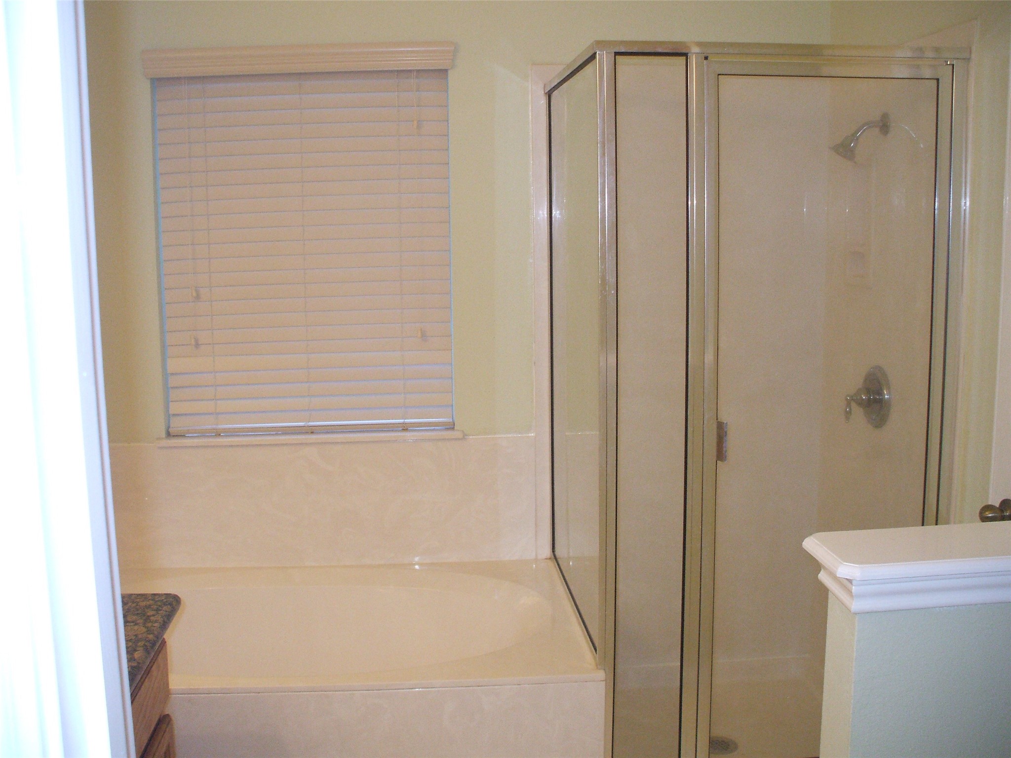 2408 Wilma Rudolph Road Austin, TX 78748 - Photo 4 of 25