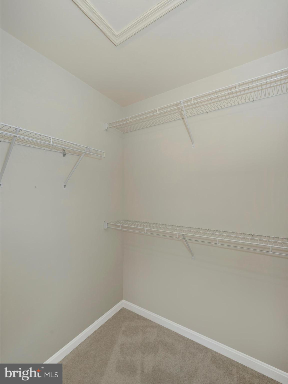 7108 Masters Road New Market, MD 21774 - Photo 22 of 71 Walk in Closet
