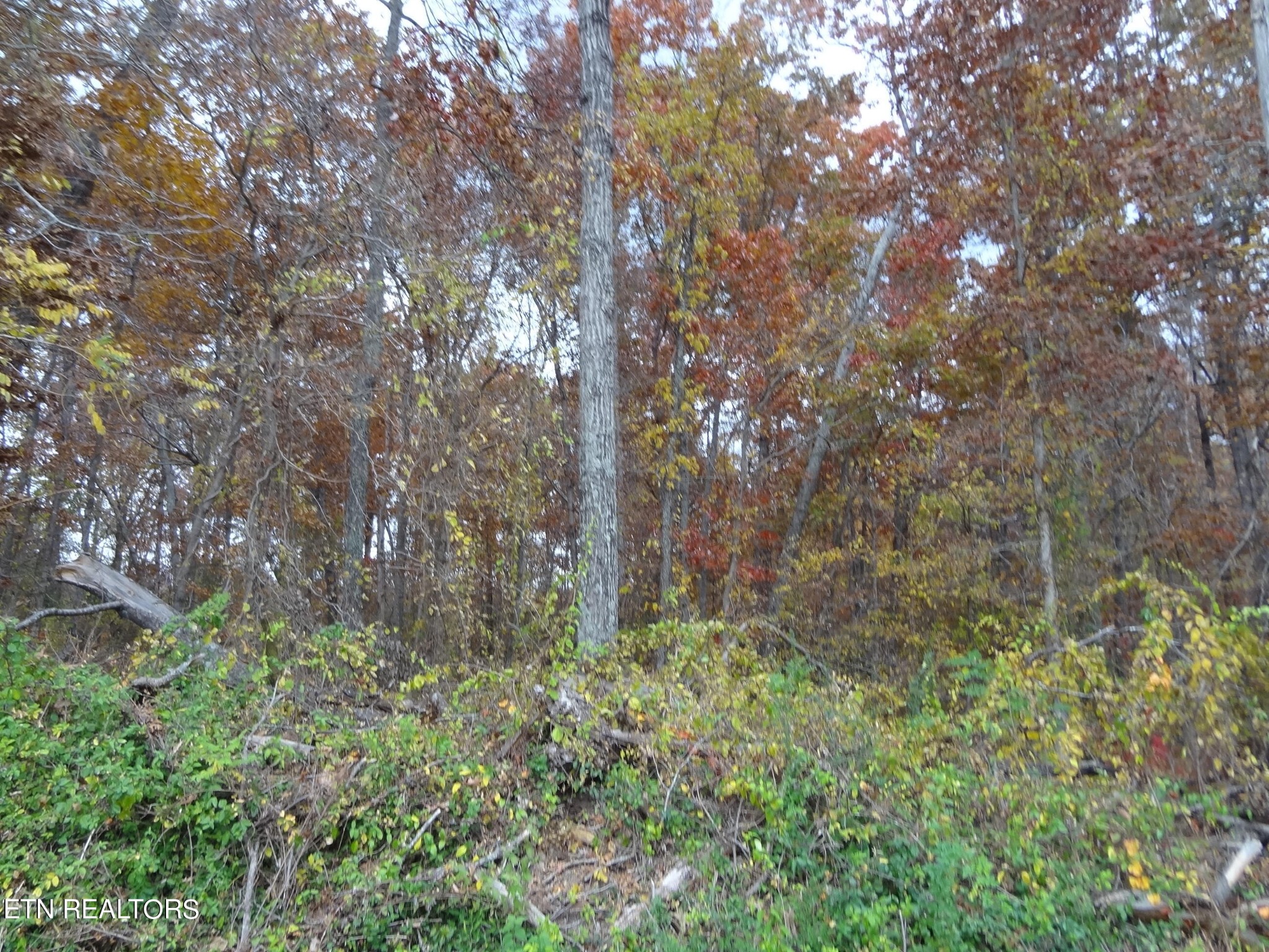 7 Hubert Conley Road Crossville, TN 38571 - Photo 13 of 14