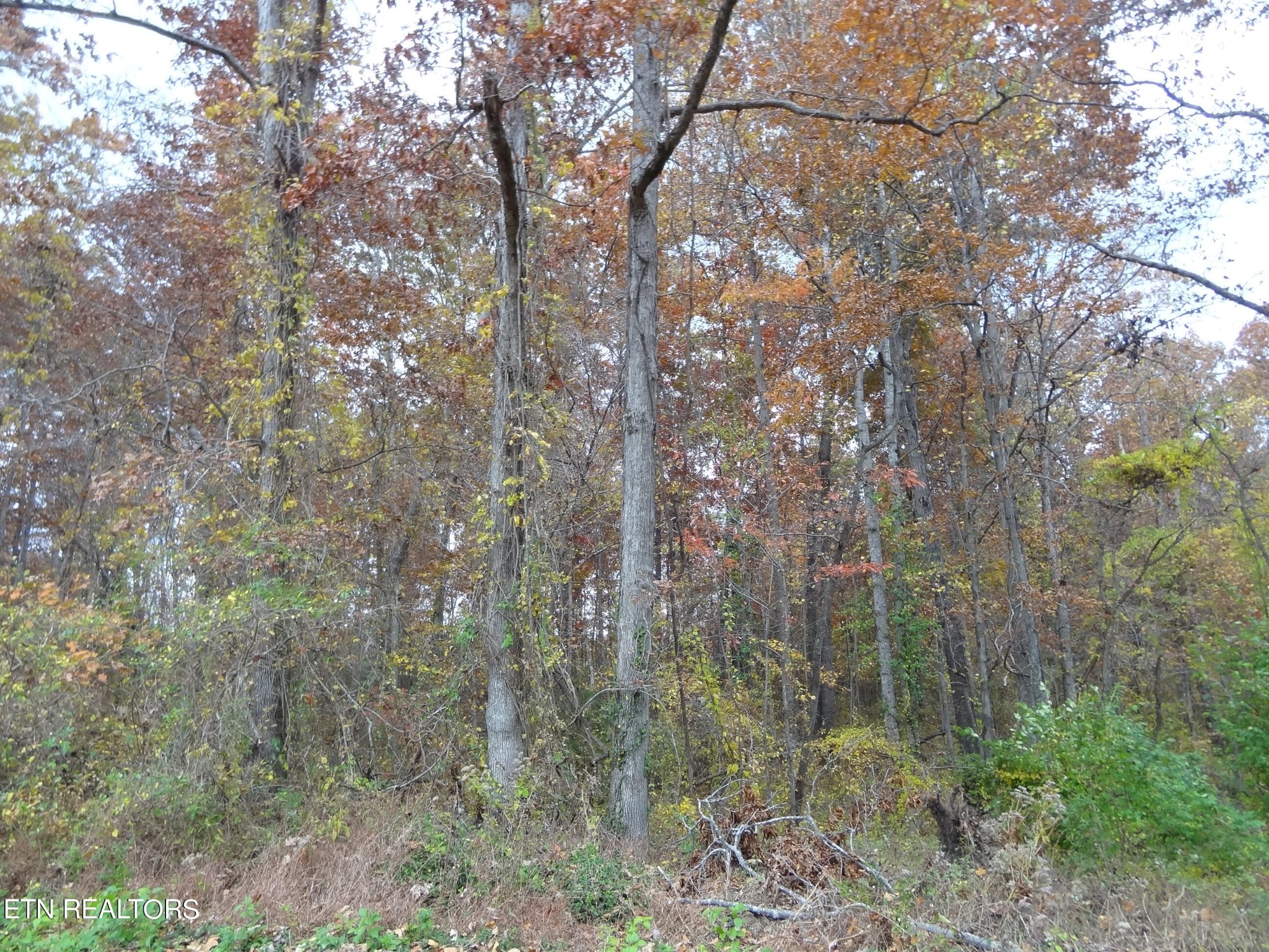7 Hubert Conley Road Crossville, TN 38571 - Photo 14 of 14