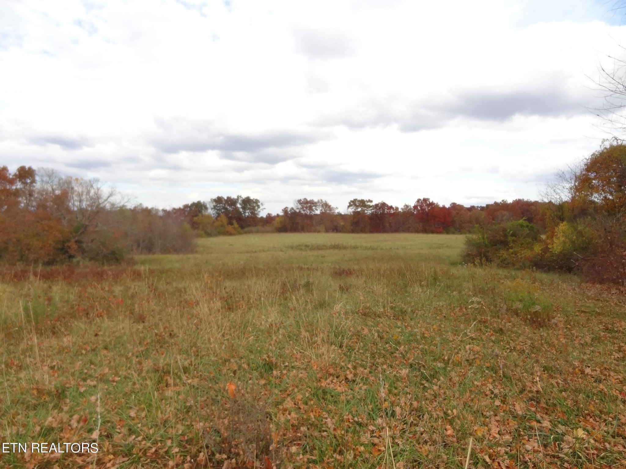 7 Hubert Conley Road Crossville, TN 38571 - Photo 3 of 14