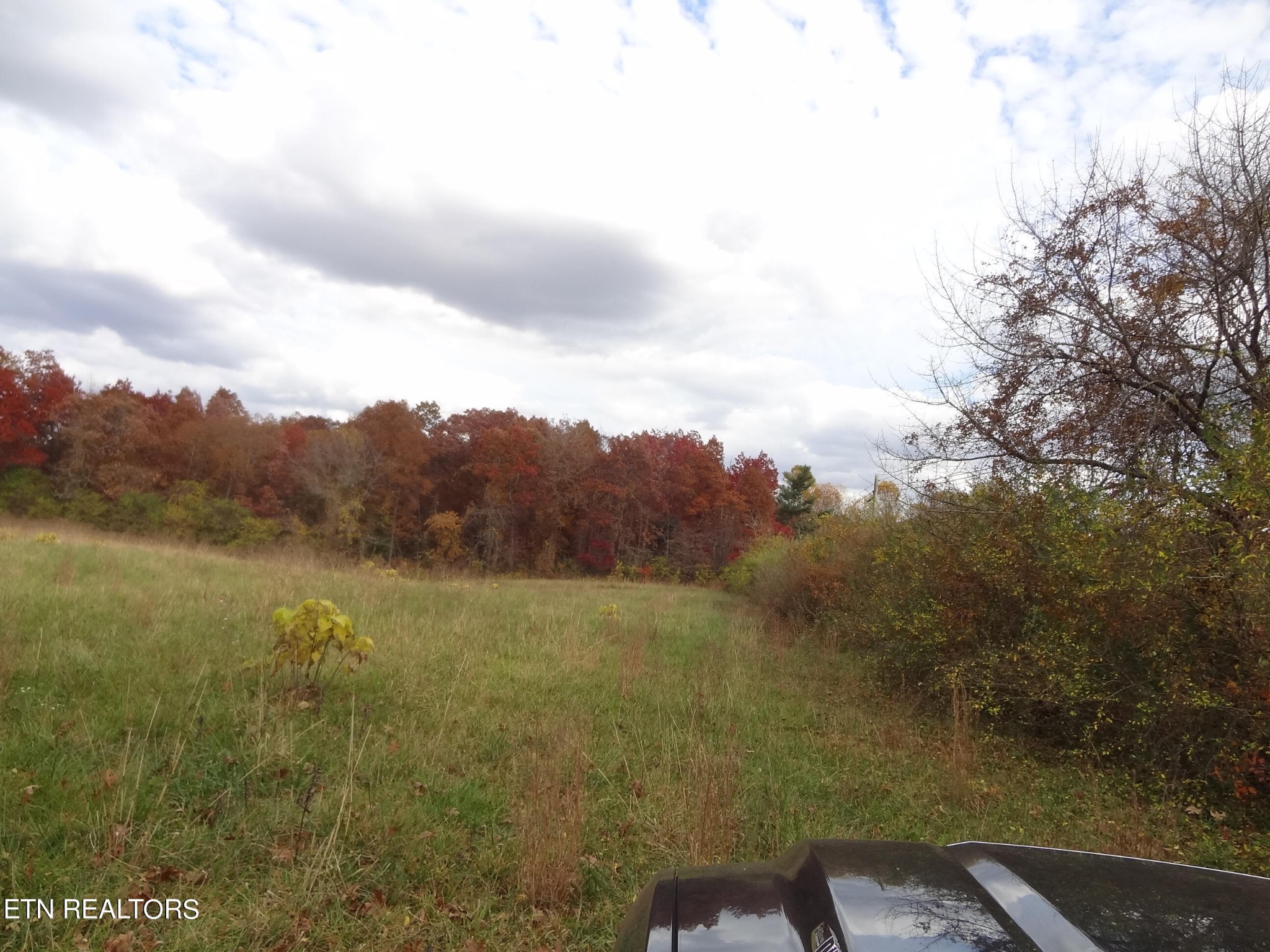 7 Hubert Conley Road Crossville, TN 38571 - Photo 5 of 14