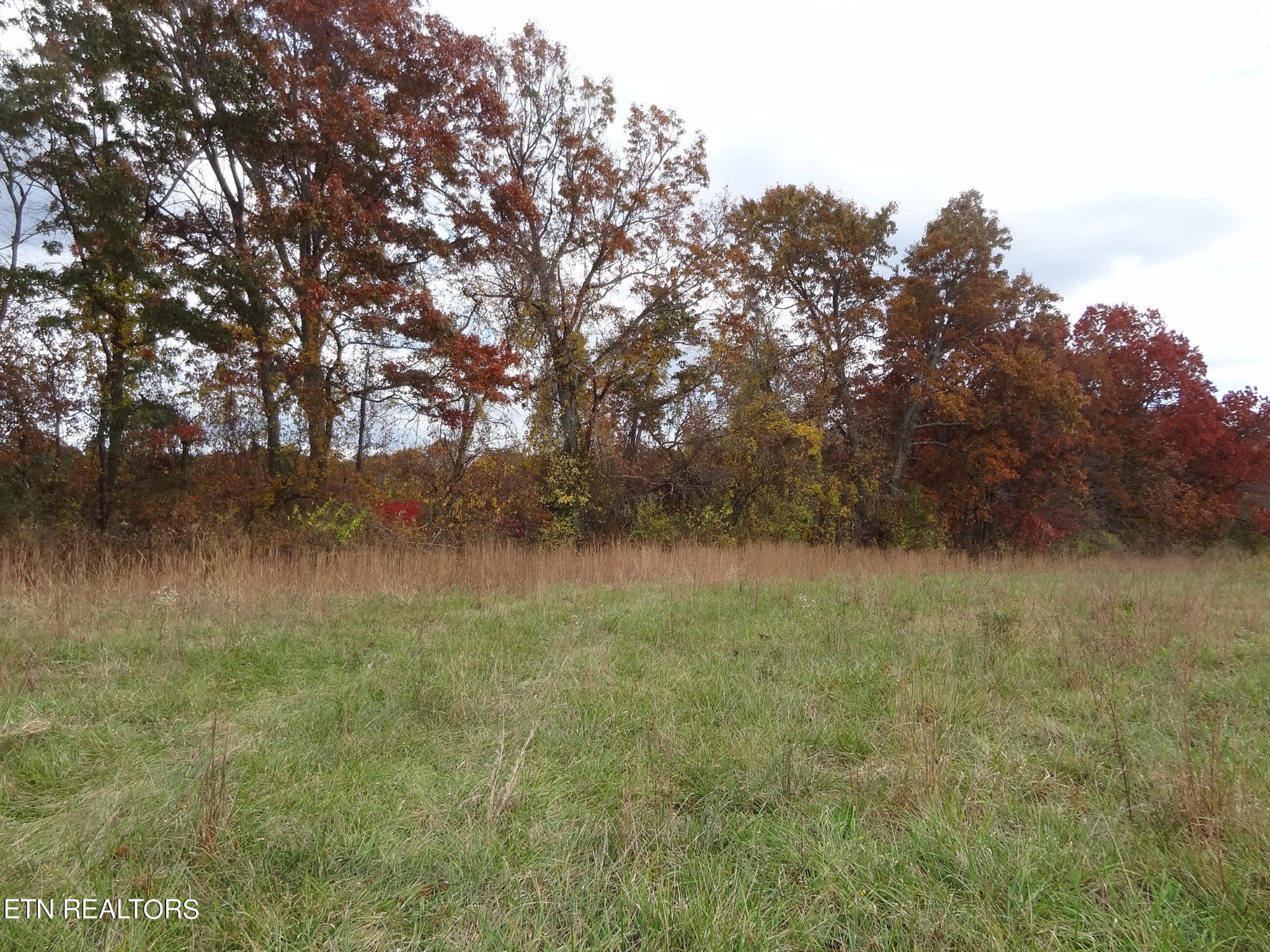 7 Hubert Conley Road Crossville, TN 38571 - Photo 6 of 14