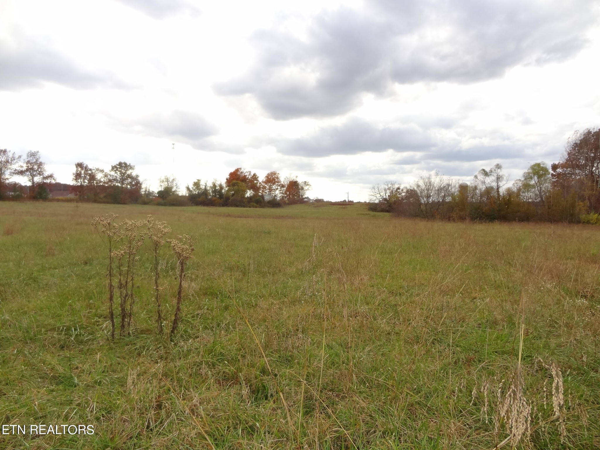7 Hubert Conley Road Crossville, TN 38571 - Photo 7 of 14