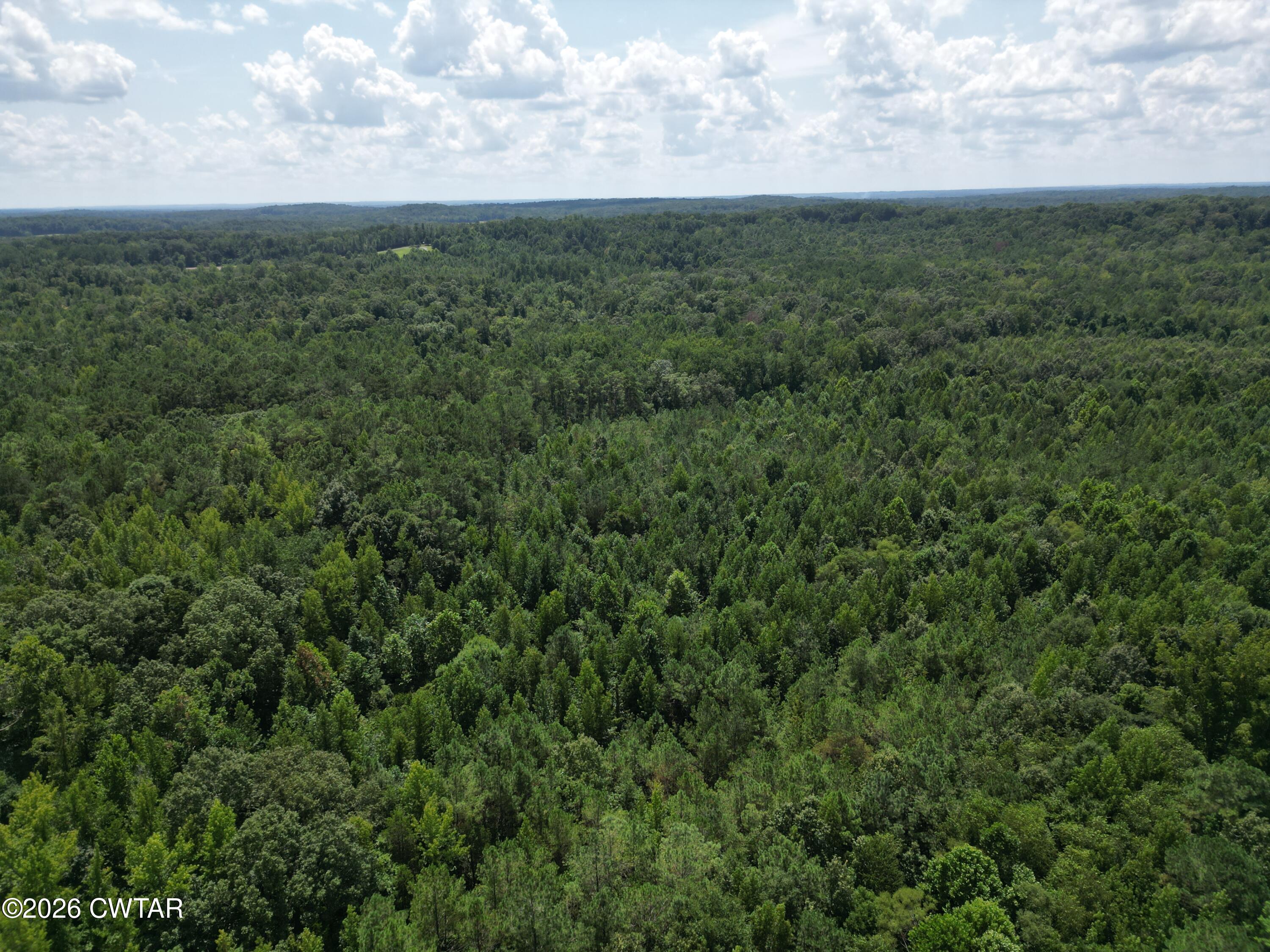 0 McAbee Road Jackson, TN 38301 - Photo 12 of 15 DJI_0635