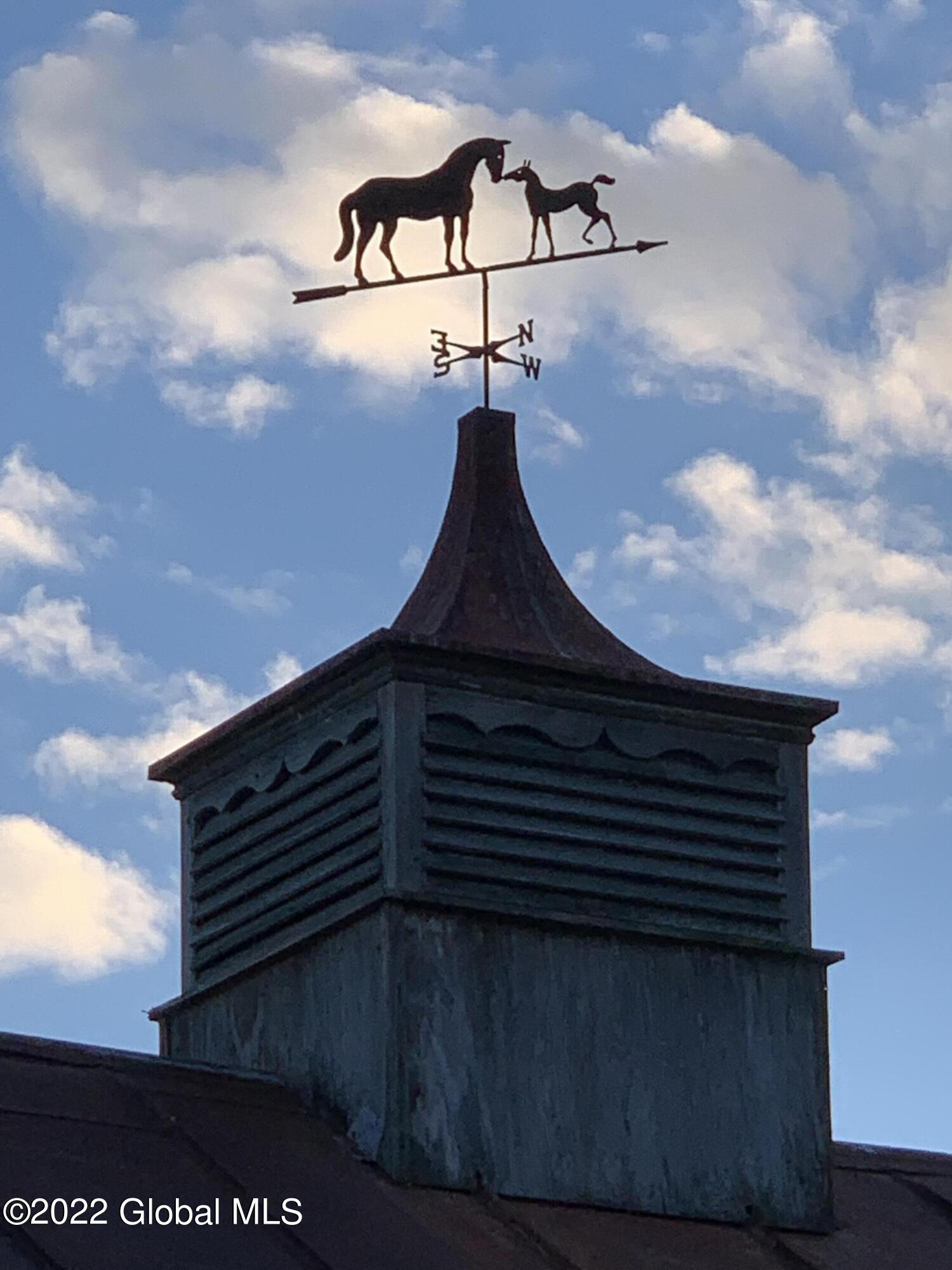 69 Cemetery Road New Lebanon, NY 12125 - Photo 63 of 68 Schaye weathervane new