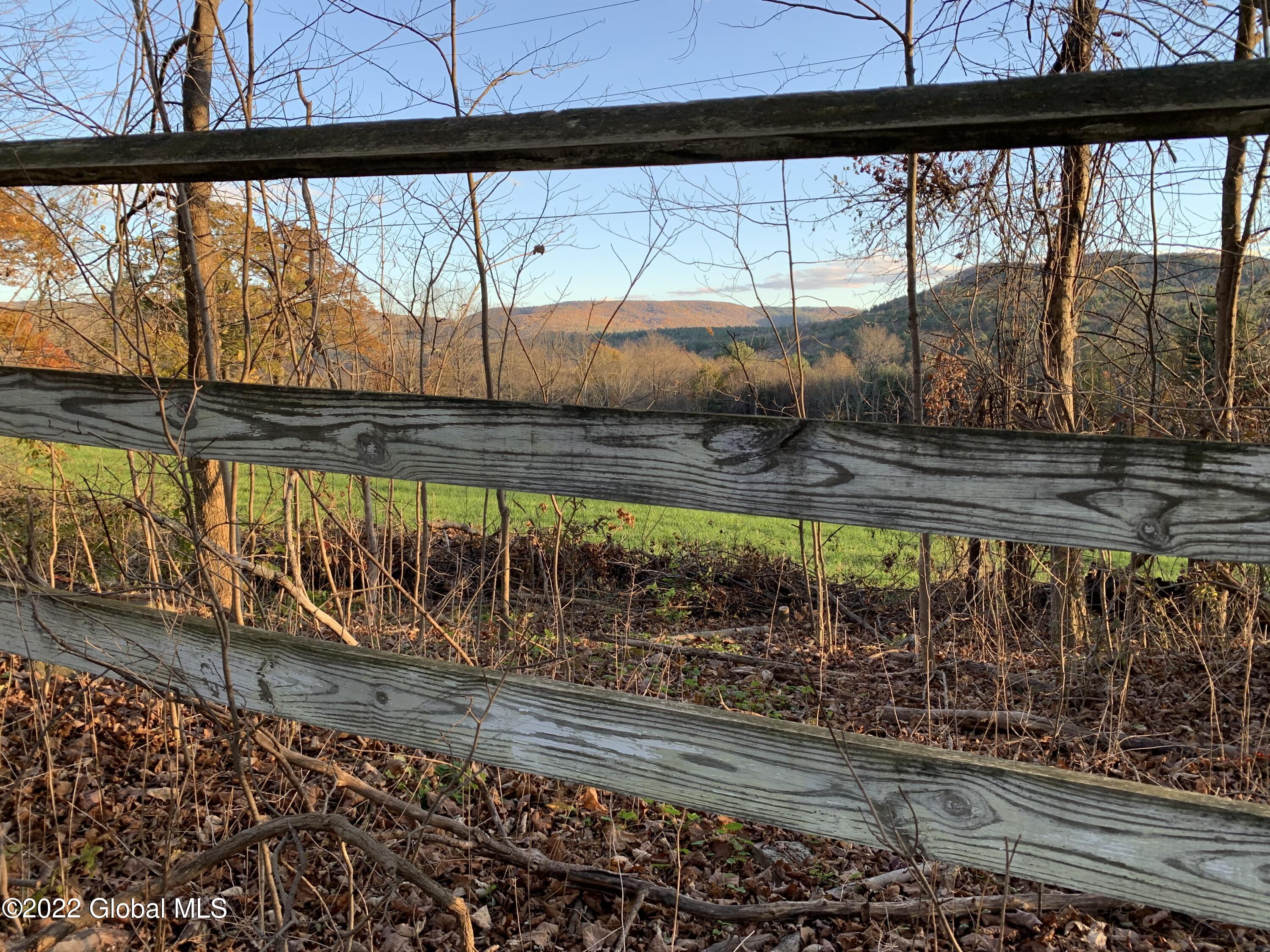 69 Cemetery Road New Lebanon, NY 12125 - Photo 68 of 68 Schaye fence new