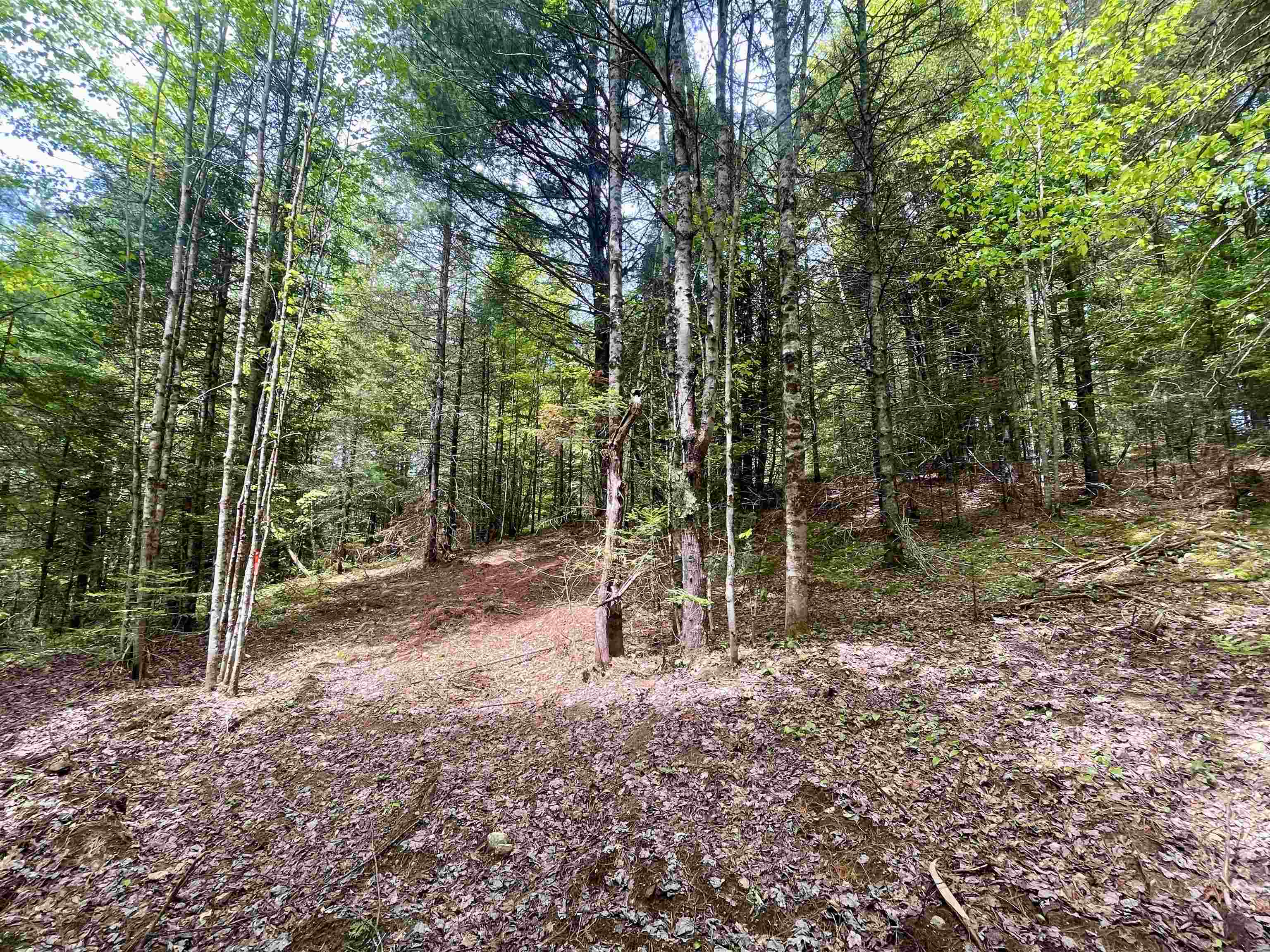 0 Marshall Newland Road East Burke, VT 05832 - Photo 7 of 29