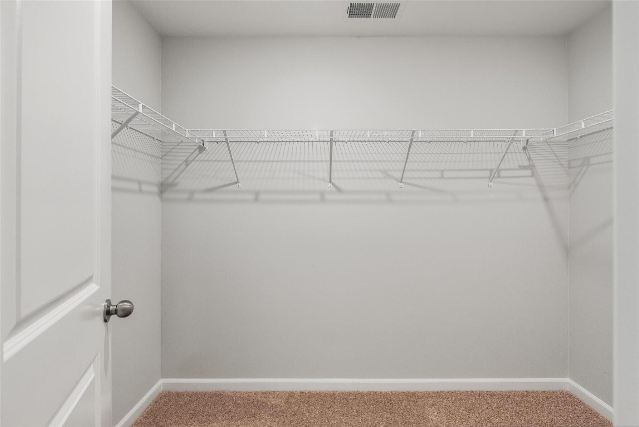 205 Palfrey Drive Ridgeville, SC 29472 - Photo 24 of 34 Primary Closet