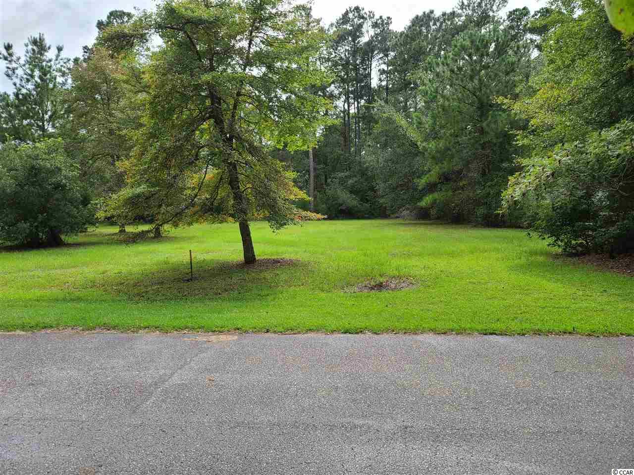 2345 Wedgefield Georgetown, SC 29440 - Photo 3 of 6 Gallery Image 3