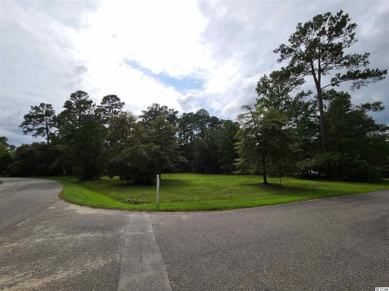 2345 Wedgefield Georgetown, SC 29440 - Photo 4 of 6 Gallery Image 4