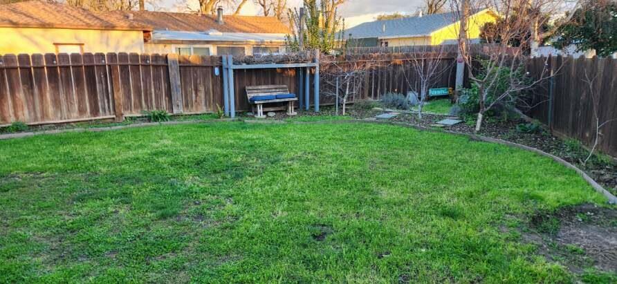 1908 Debonaire Court Modesto, CA 95350 - Photo 34 of 39 a view of a backyard with wooden fence and large trees