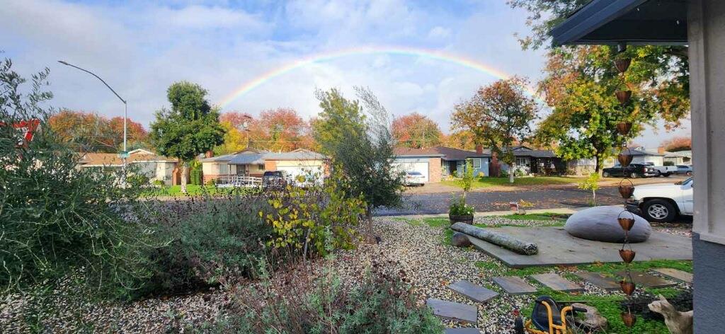 1908 Debonaire Court Modesto, CA 95350 - Photo 36 of 39 cement pavers walk to cement pad for outdoor sitting area surrounded by Lavender Rosemary, sage, jasmine and camelia yuletide myrtle leaf with purple pea flowers milkwort and seedless olive tree
