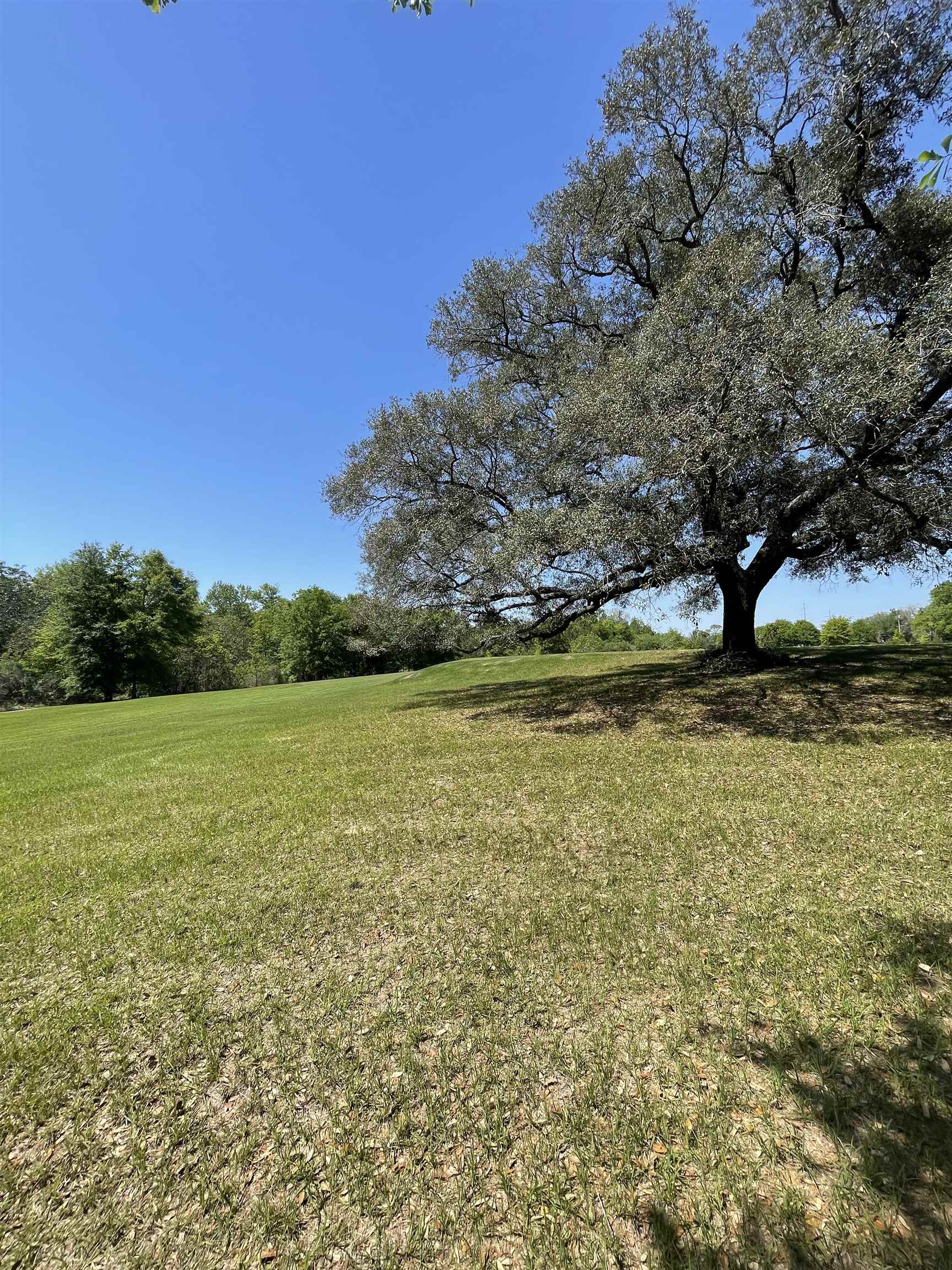 9289 County Road 65 Foley, AL 36535 - Photo 3 of 7 View of Land