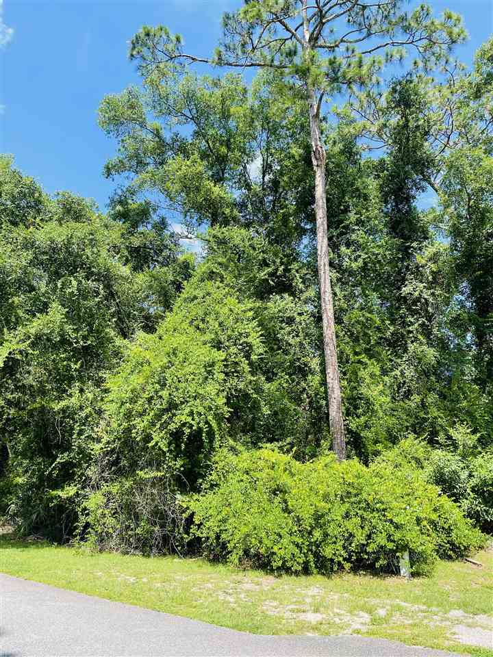 3297 Horseshoe Cove Road Waverly, GA 31565 - Photo 5 of 22