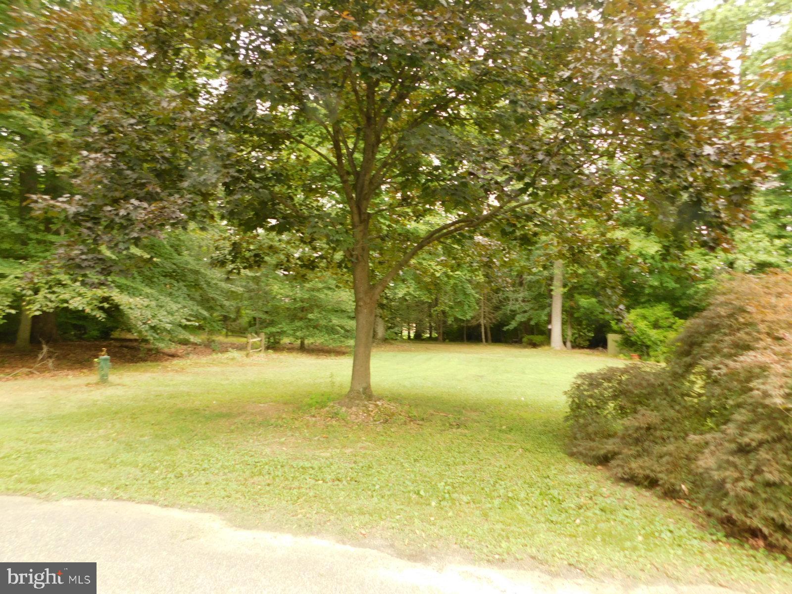 575 Deans Bank Road North East, MD 21901 - Photo 8 of 97 Gallery Image 8