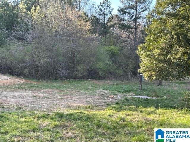4506 Allison Mill Road Talladega, AL 35160 - Photo 2 of 4