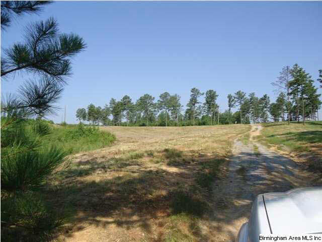 Mayo Road, Unit 96 Altoona, AL 35952 - Photo 13 of 23