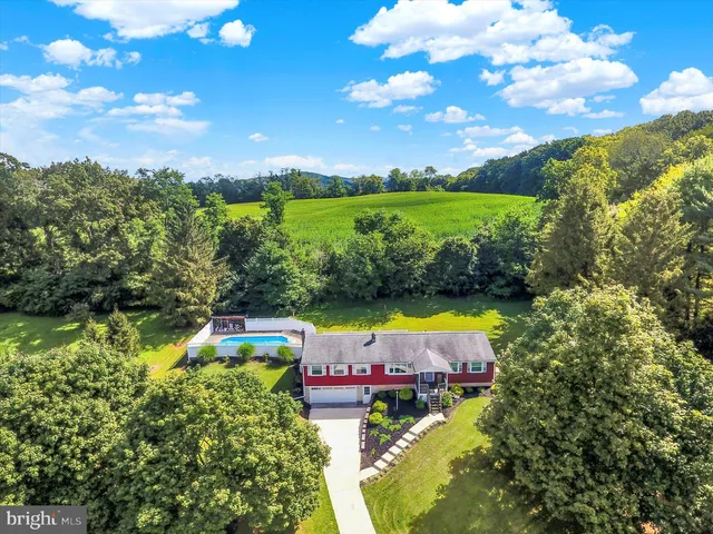 a view of a backyard with table and chairs potted plants and large tree