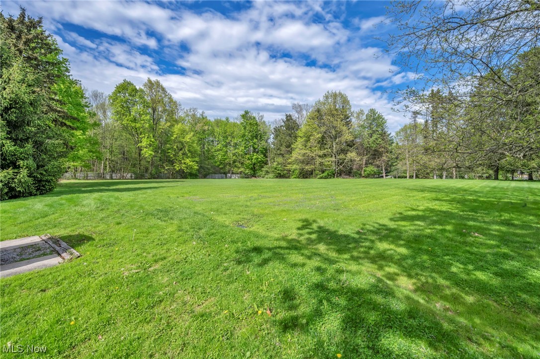 8665 Johnnycake Ridge Road Mentor, OH 44060 - Photo 33 of 49 View of grassy yard